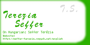 terezia seffer business card